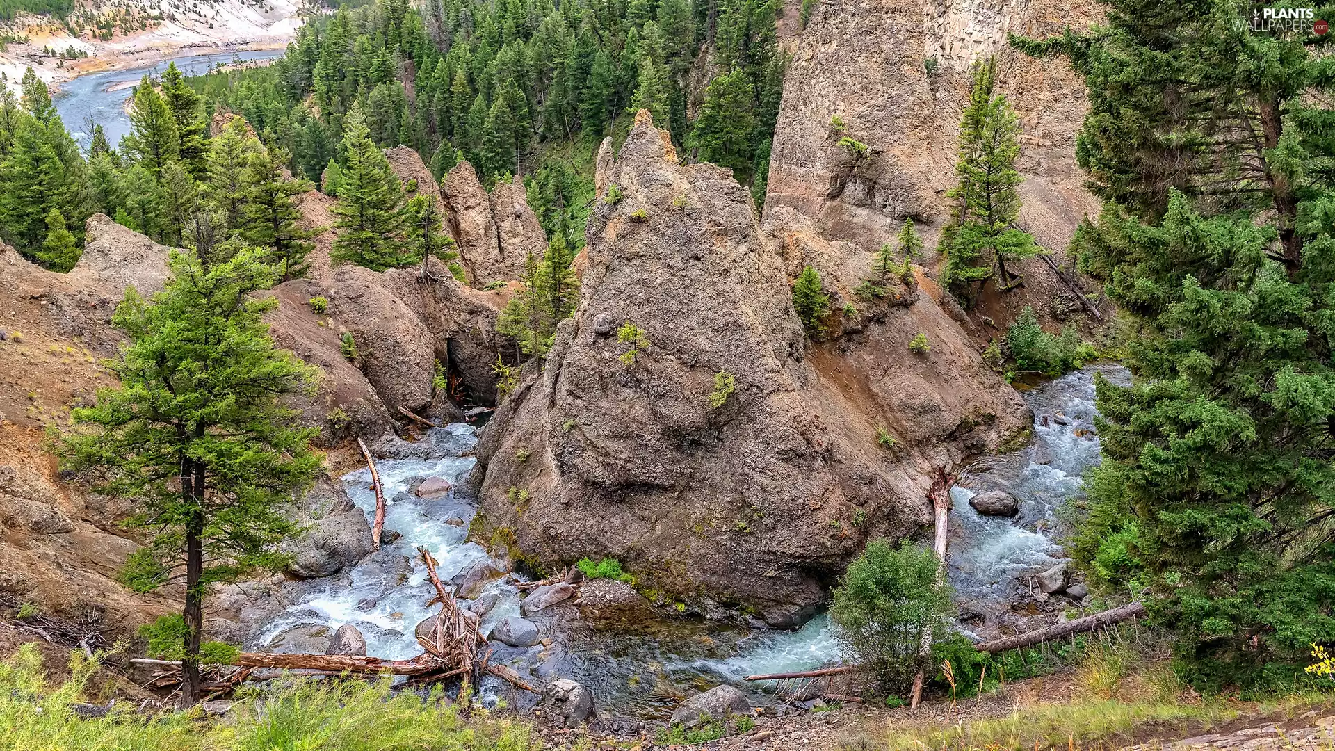 River, curve, trees, viewes, rocks