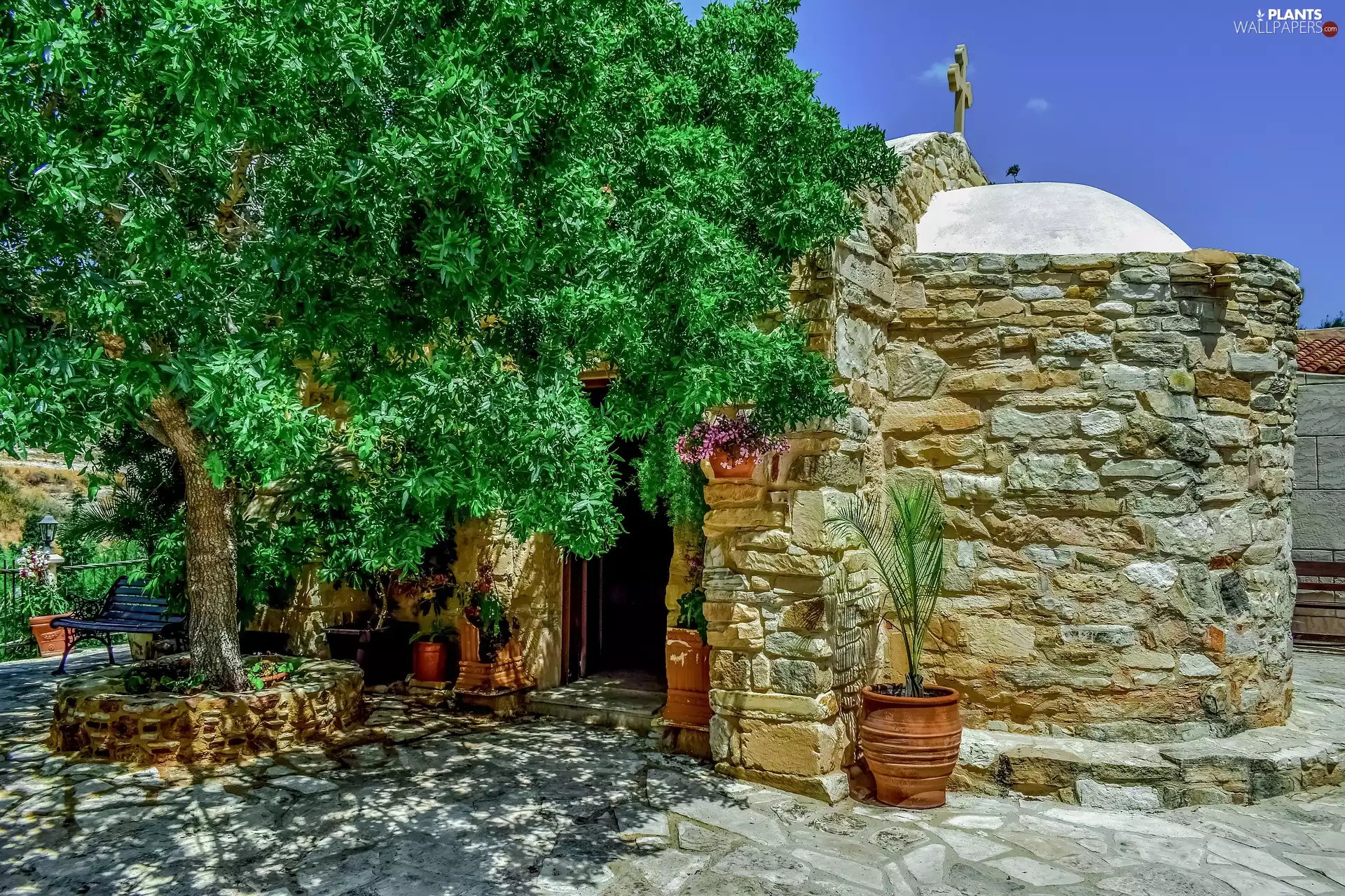 Bench, Cyprus, chapel, trees, Church