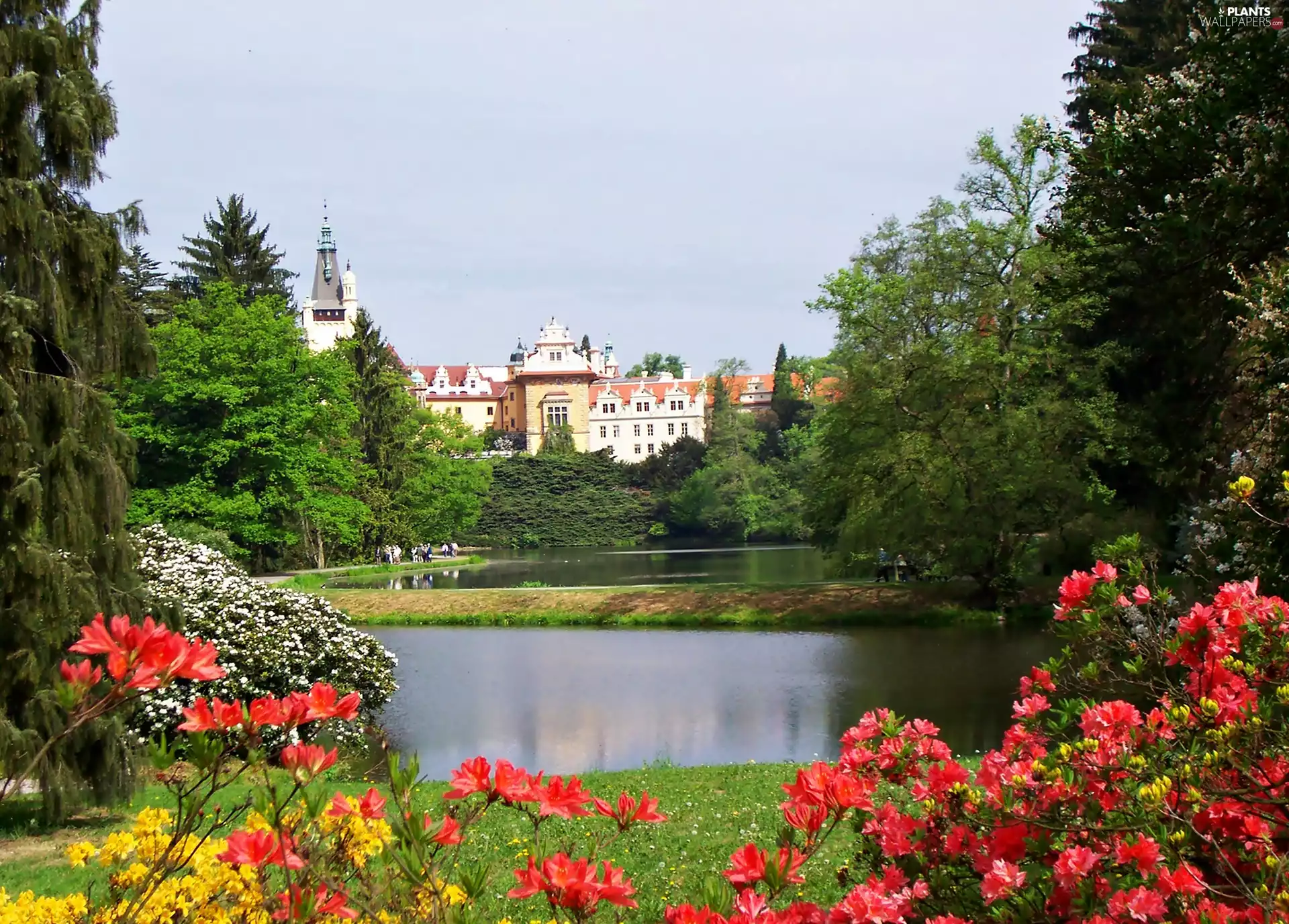 Czech Republic, Pruhonice Castle, Pond - car, rhododendron, Park, Pruhonice City