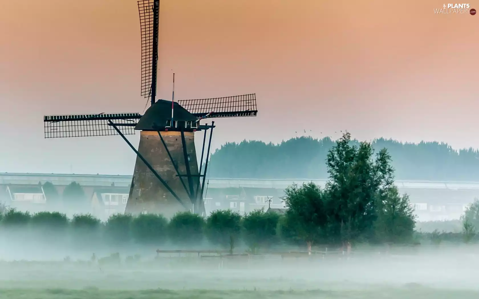 viewes, dawn, Fog, trees, Windmill