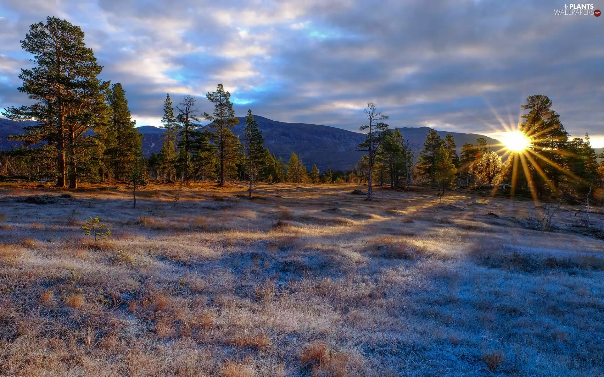 viewes, White frost, clouds, Sky, dawn, grass, car in the meadow, trees, Meadow, Mountains, rays of the Sun