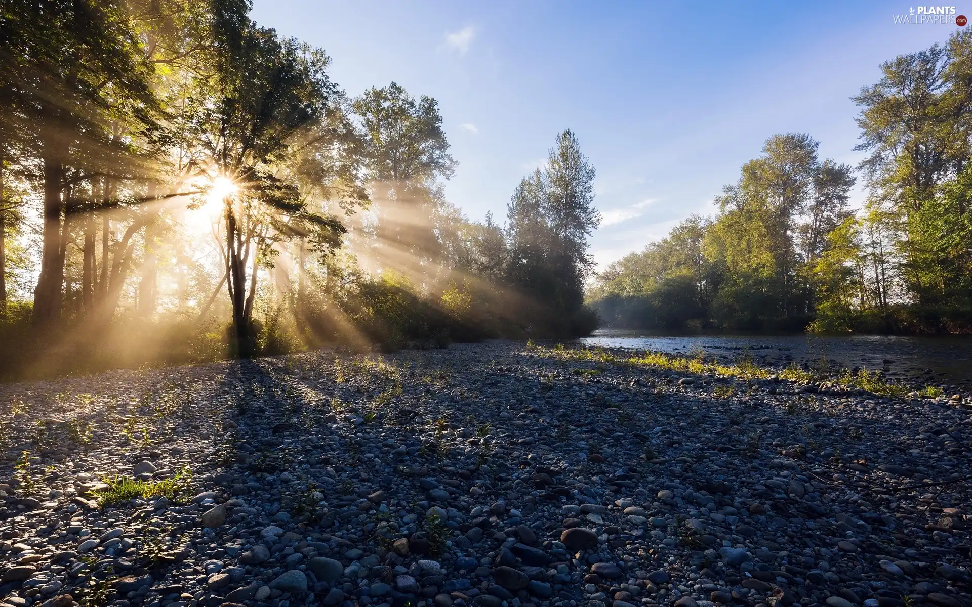 dawn, stony, trees, coast, River, rays of the Sun, viewes