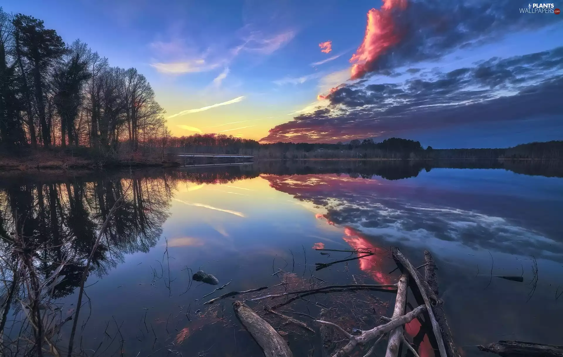 viewes, lake, reflection, dawn, clouds, trees