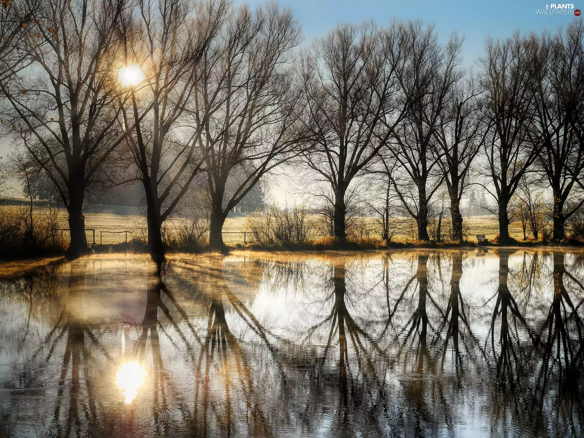 viewes, autumn, sunny, day, Pond - car, trees