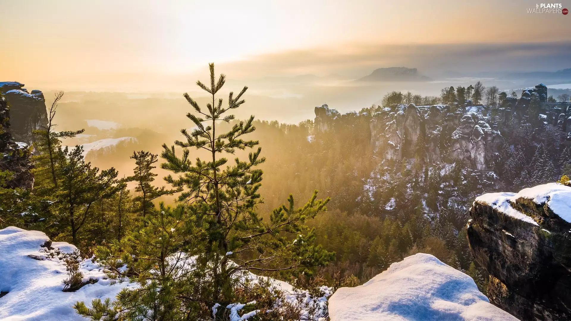 rocks, Germany, snow, winter, viewes, Fog, morning, Děčínská vrchovina, Saxon Switzerland National Park, Sunrise, trees