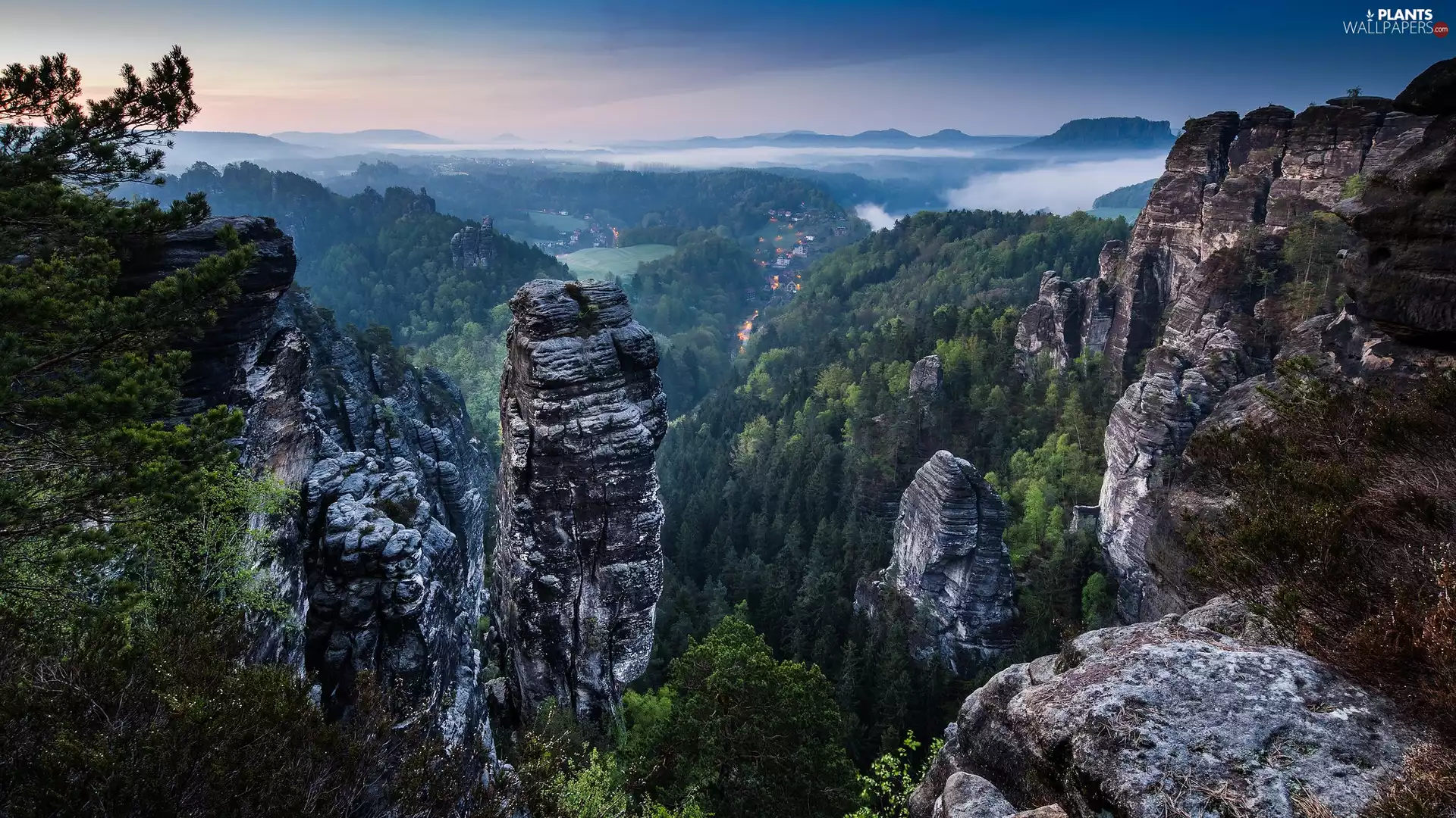 rocks, Saxon Switzerland National Park, viewes, Děčínská vrchovina, Germany, trees, morning