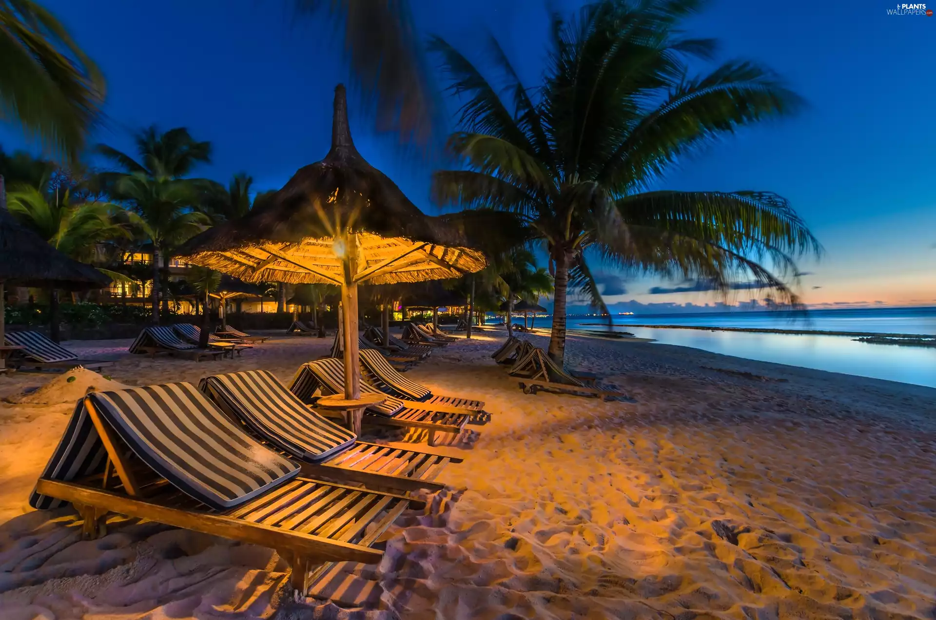 deck chair, Beaches, Palms, Ocean, Tropical, holiday, Island, Mauritius, twilight