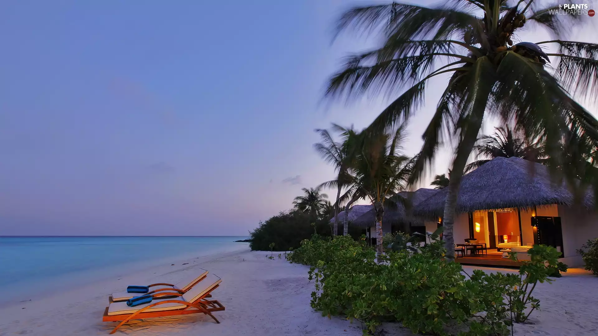 Houses, holiday, Palms, deck chair, Sand