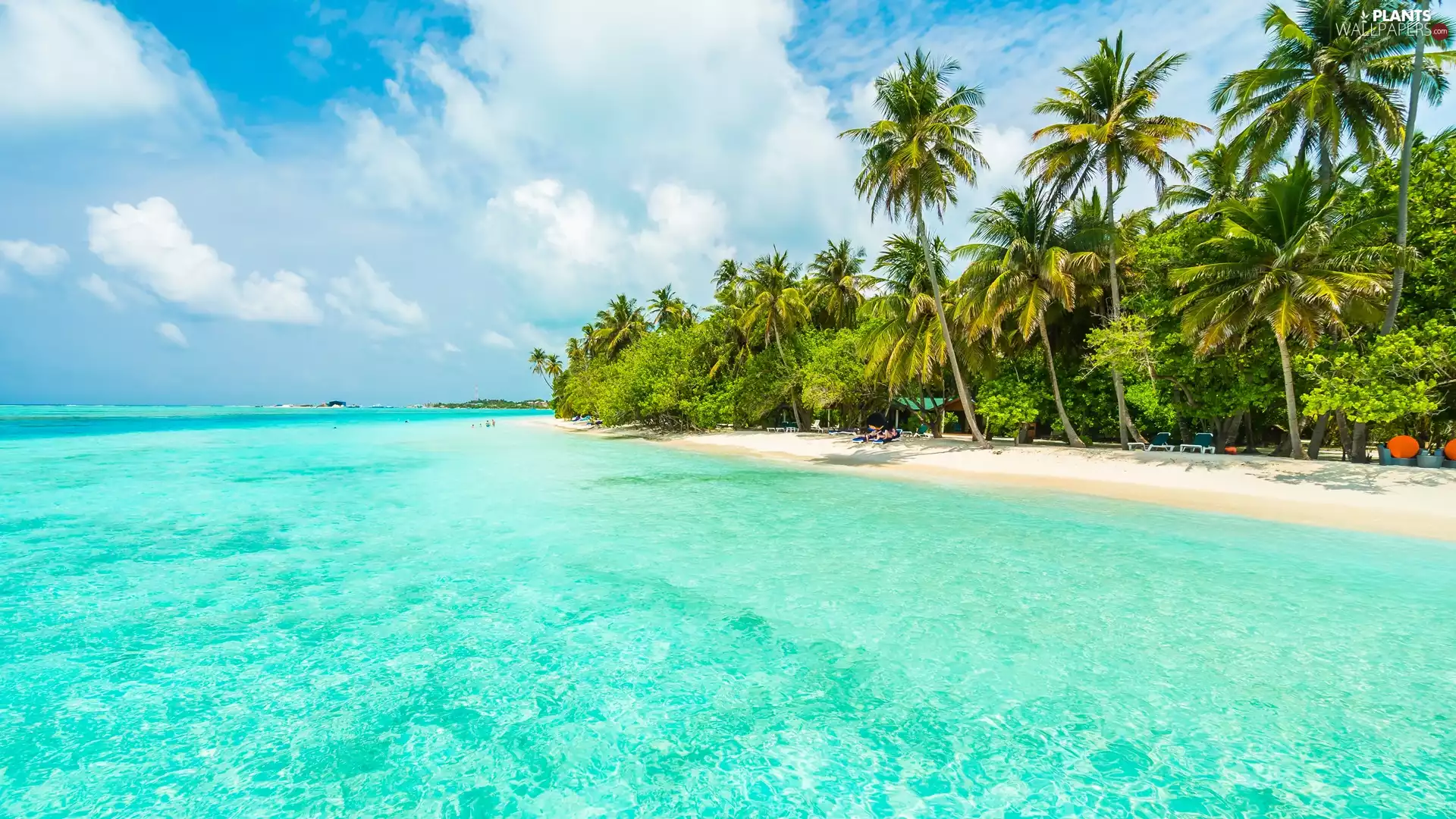 Palms, clouds, Beaches, deck chair, sea