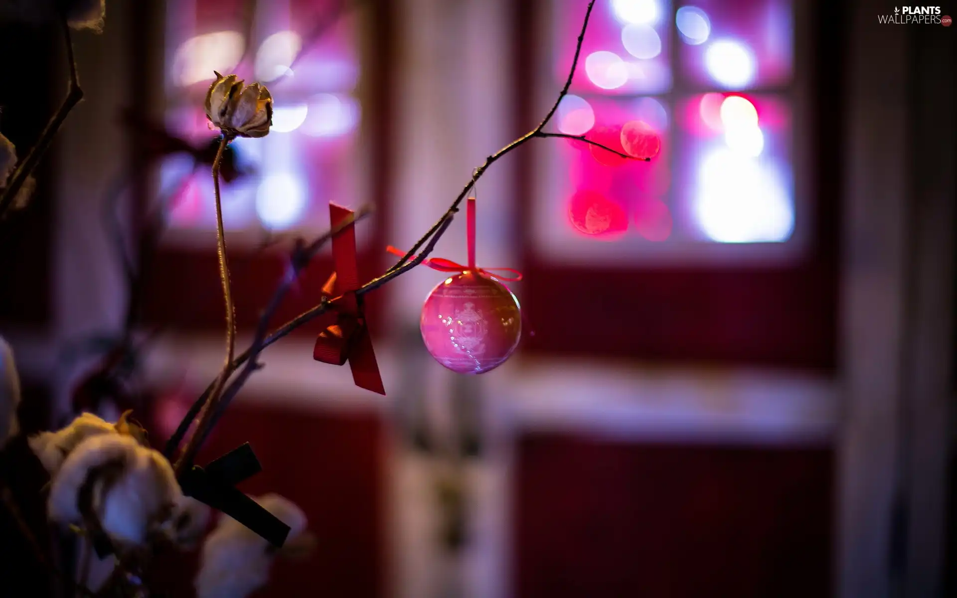 bauble, Christmas, decoration, Window