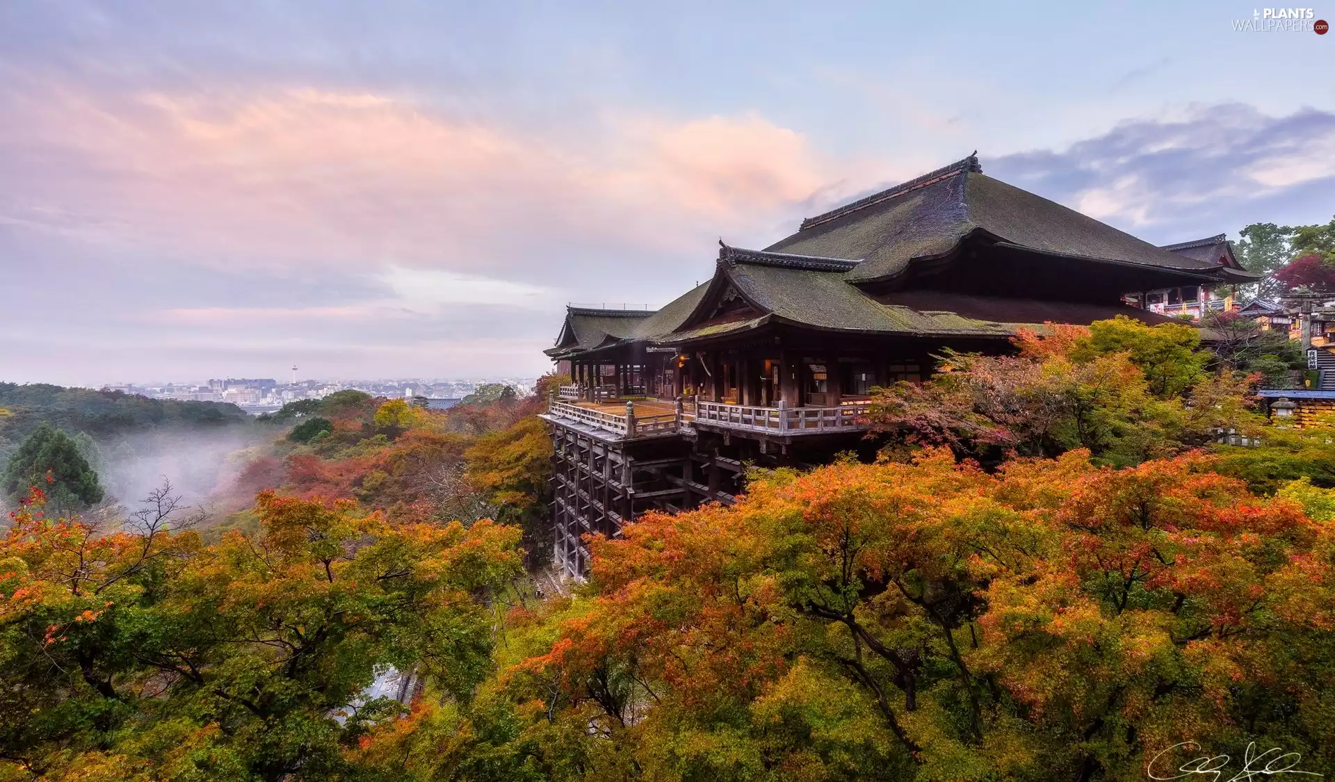 autumn, Kioto, Mount Otowa, viewes, Kiyomizu-dera Temple Complex, Japan, Higashiyama District, Fog, trees, Buddhist Temple