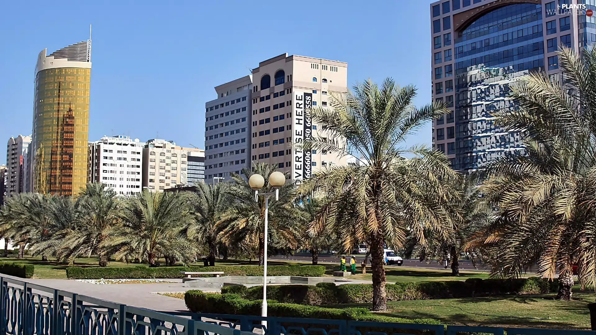 Palms, clouds, town, square, skyscrapers, fragment, Abu Dhabi