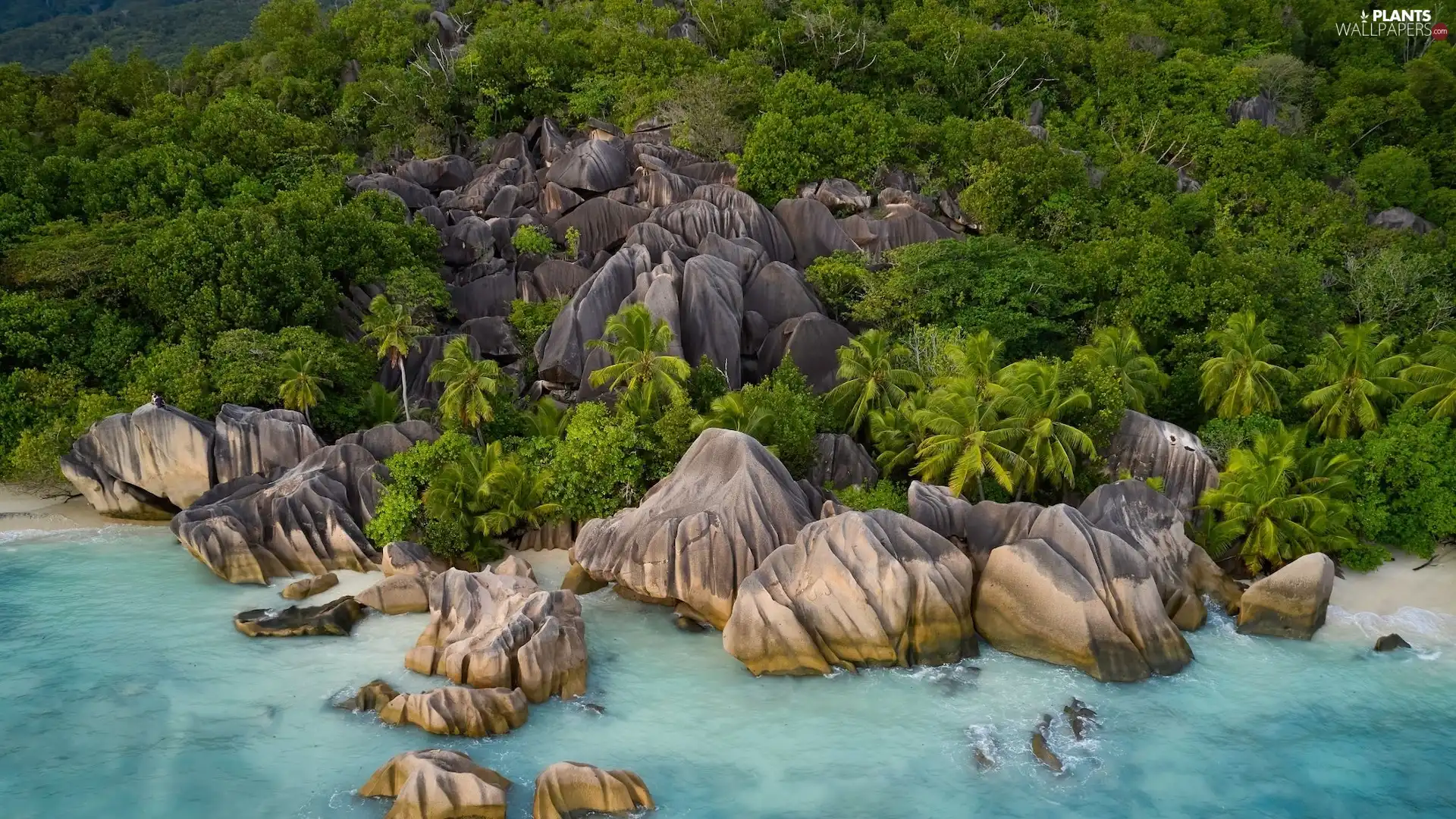 rocks, Palms, La Digue Island, sea, Seychelles