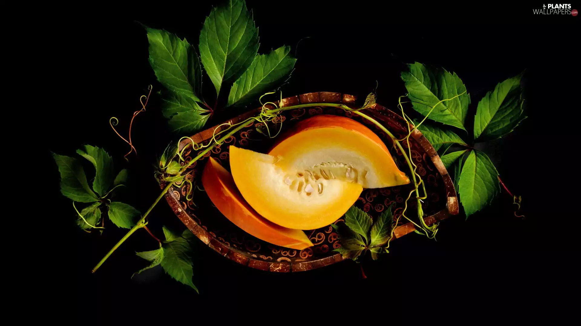 wood, dish, cuts, Leaf, pumpkin