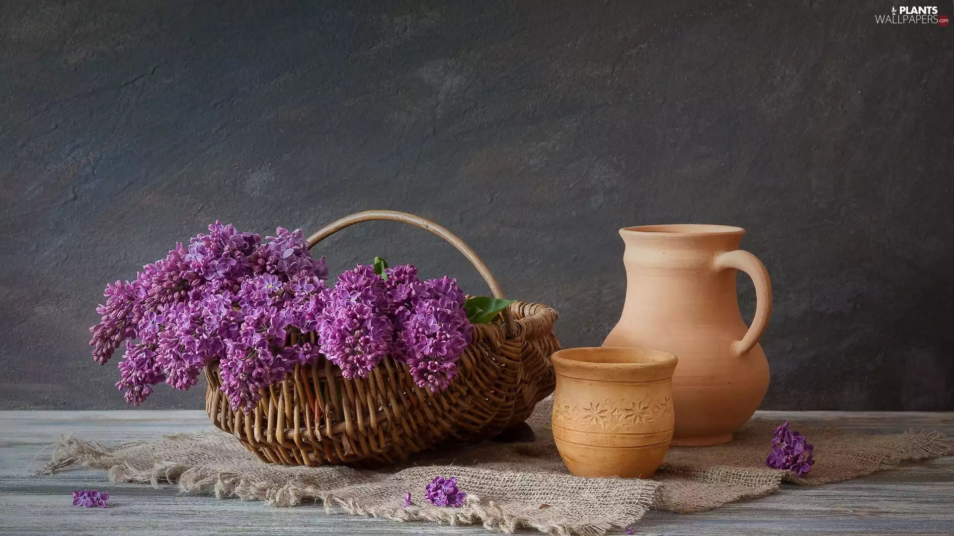 clay, dishes, basket, jug, without