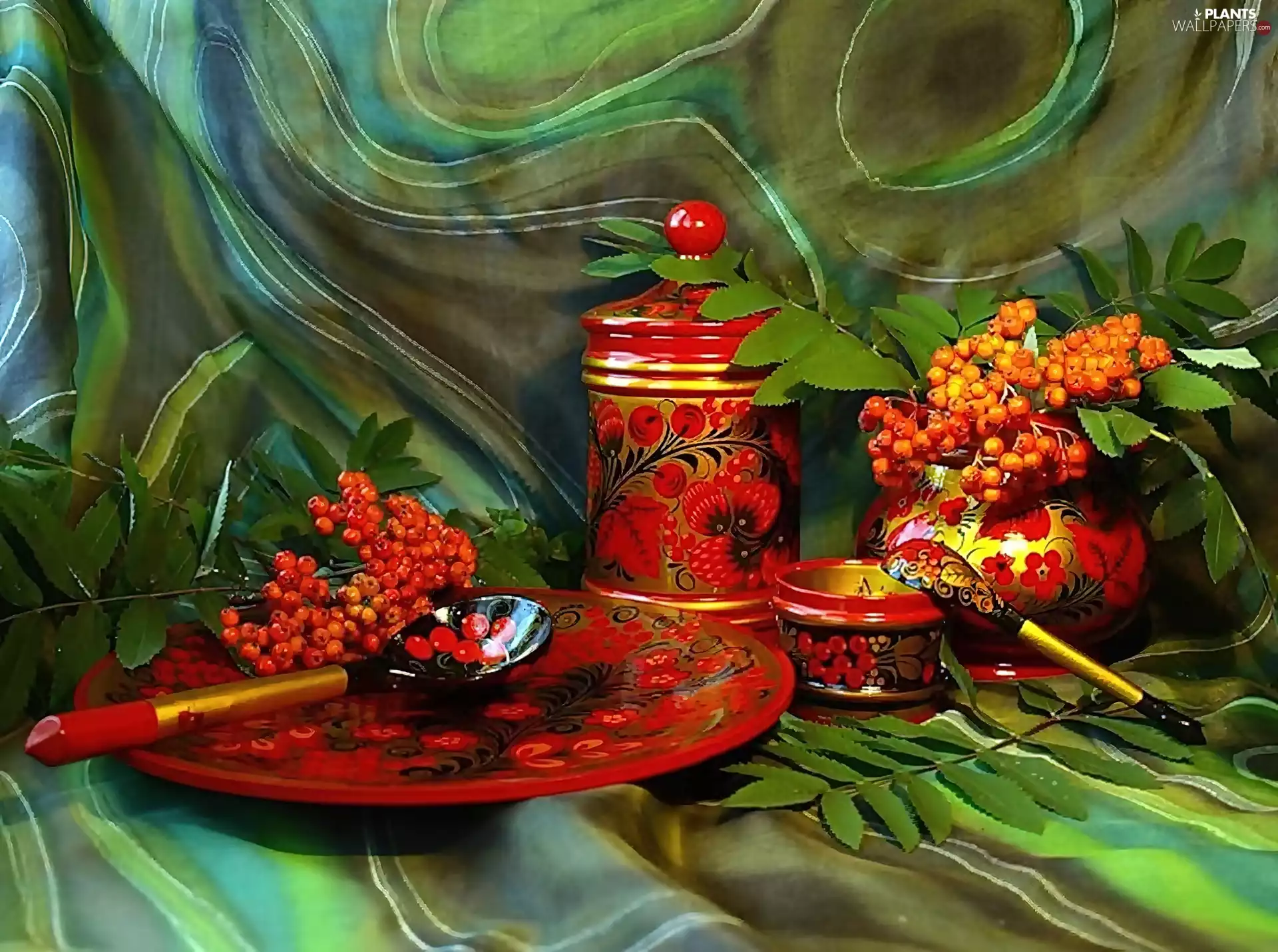 dishes, Plant, ornamental