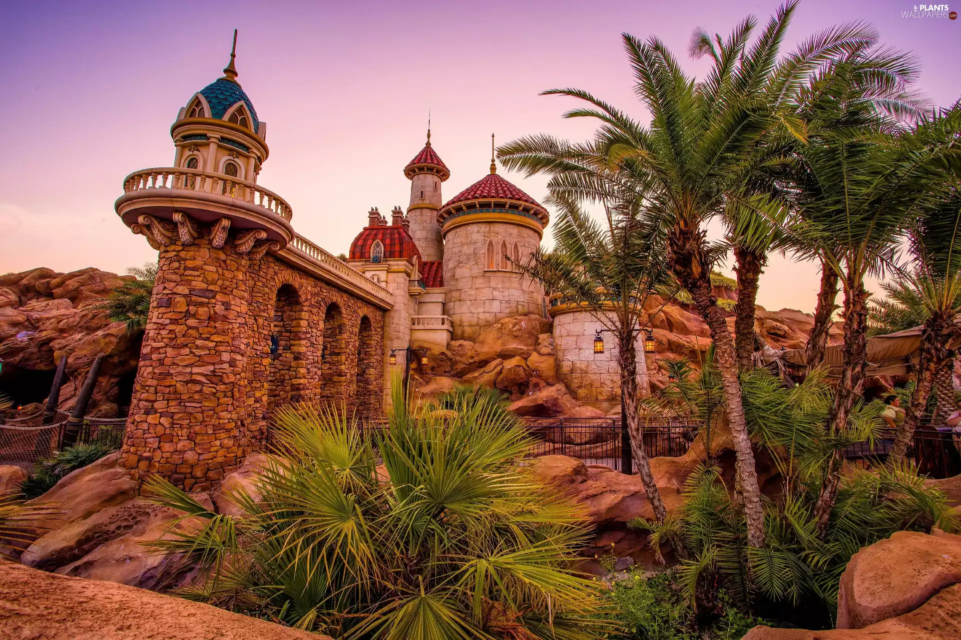 Disneyland, Castle, Palms