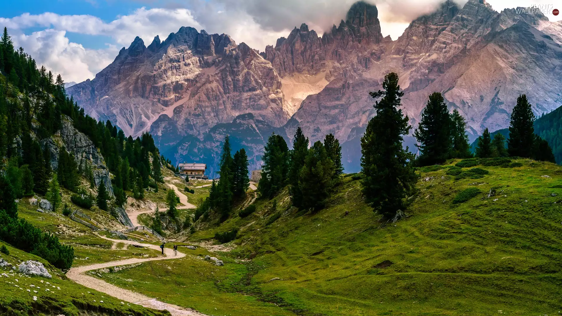 trees, South Tyrol, Dolomites, Path, green ones, Italy, Mountains, clouds, viewes, The Hills