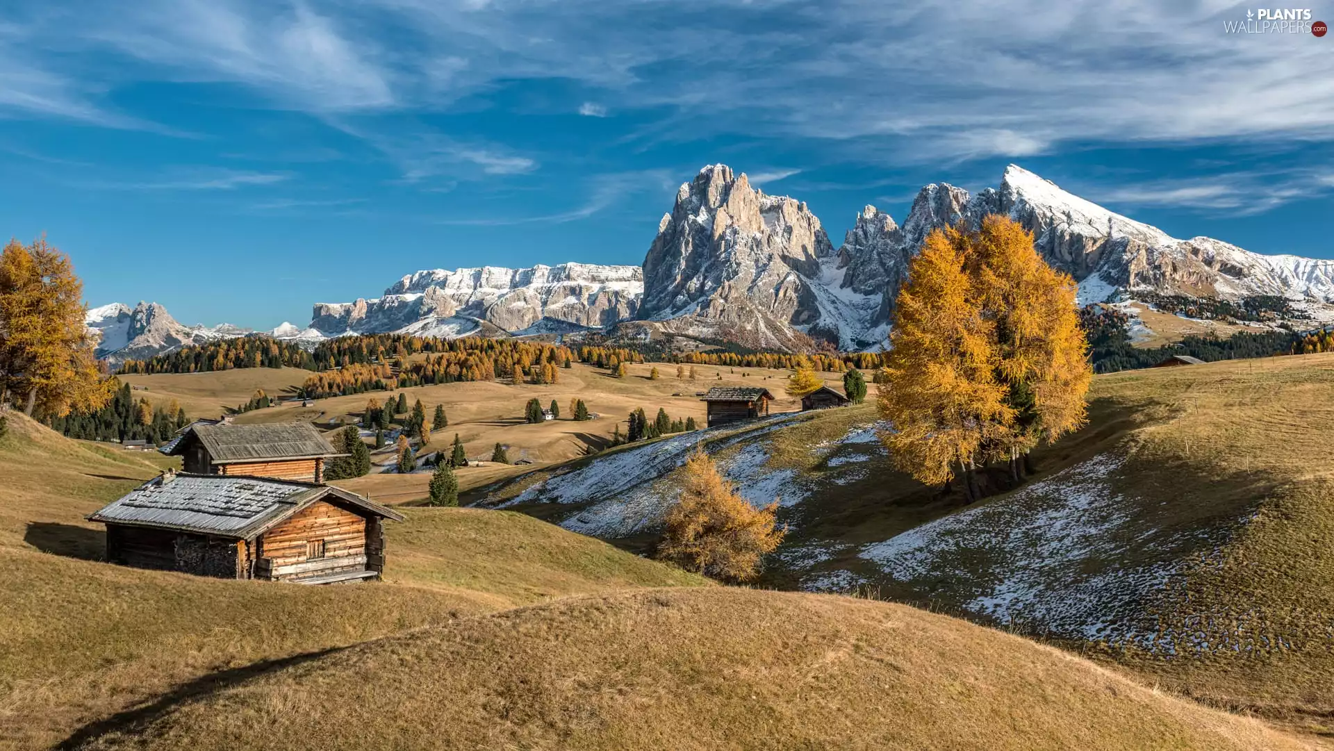 trees, Val Gardena Valley, Sassolungo Mountains, clouds, Dolomites, Seiser Alm Meadow, Snowy, Italy, viewes, Houses