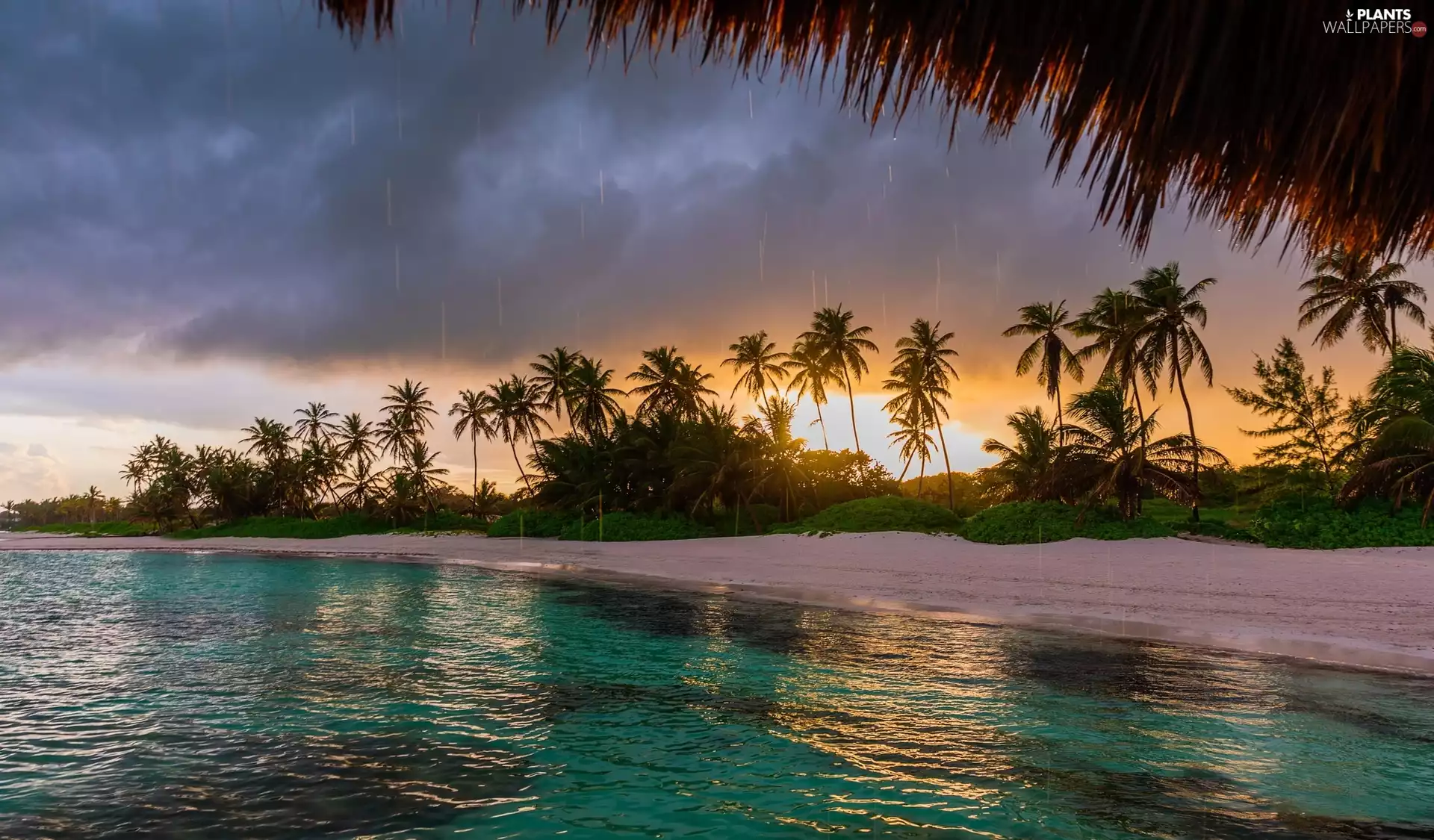Dominican Republic, Beaches, Rain, Punta Cana Cape, sea, Palms, Tropical