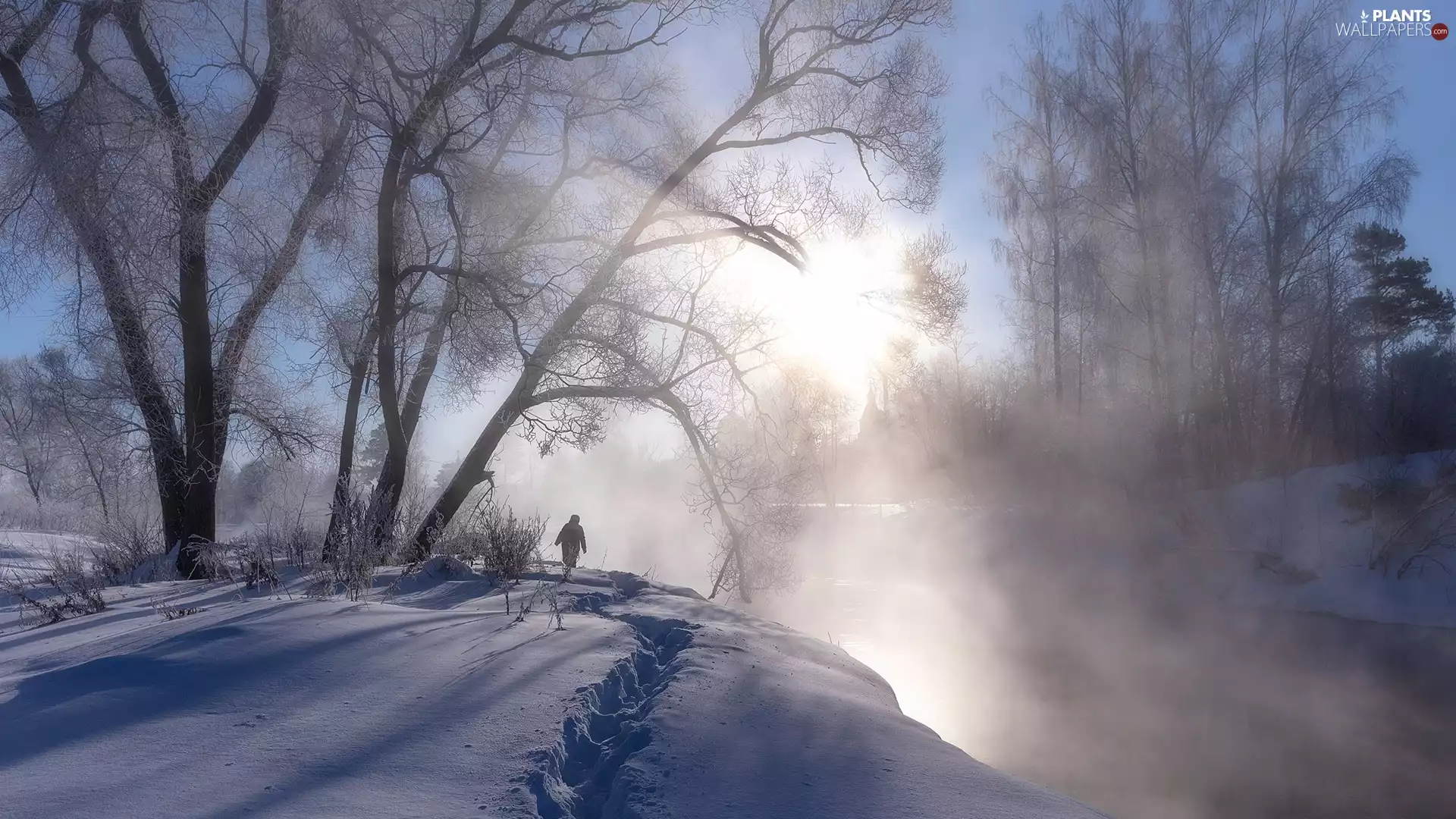 Human, trees, Fog, viewes, River, morning, winter, drifts