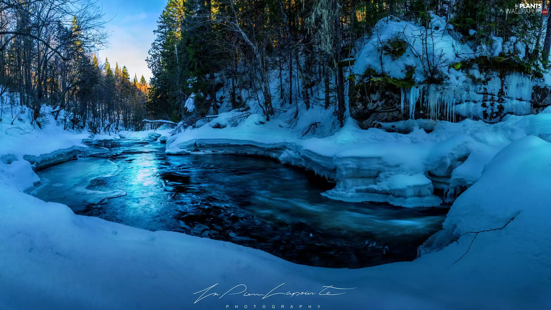 forest, River, viewes, drifts, winter, trees, icicle