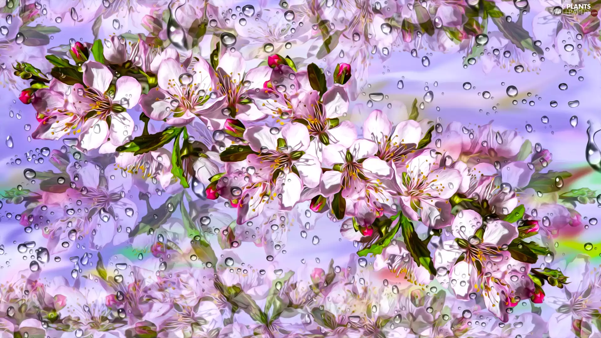 twig, drops, graphics, Fruit Tree