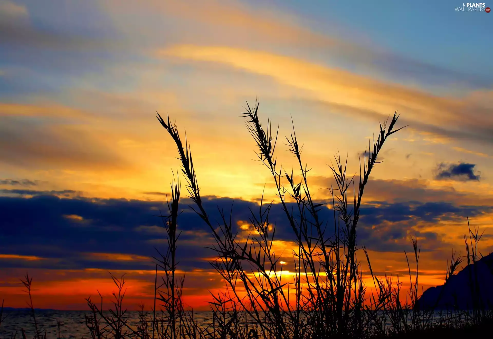 Sky, dry, grass, Great Sunsets