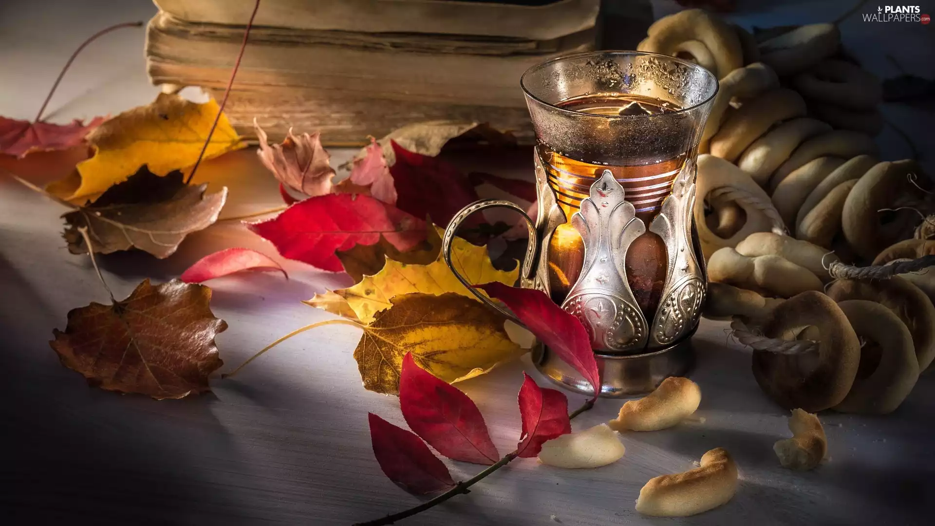 Books, Dryers, Leaf, tea, composition