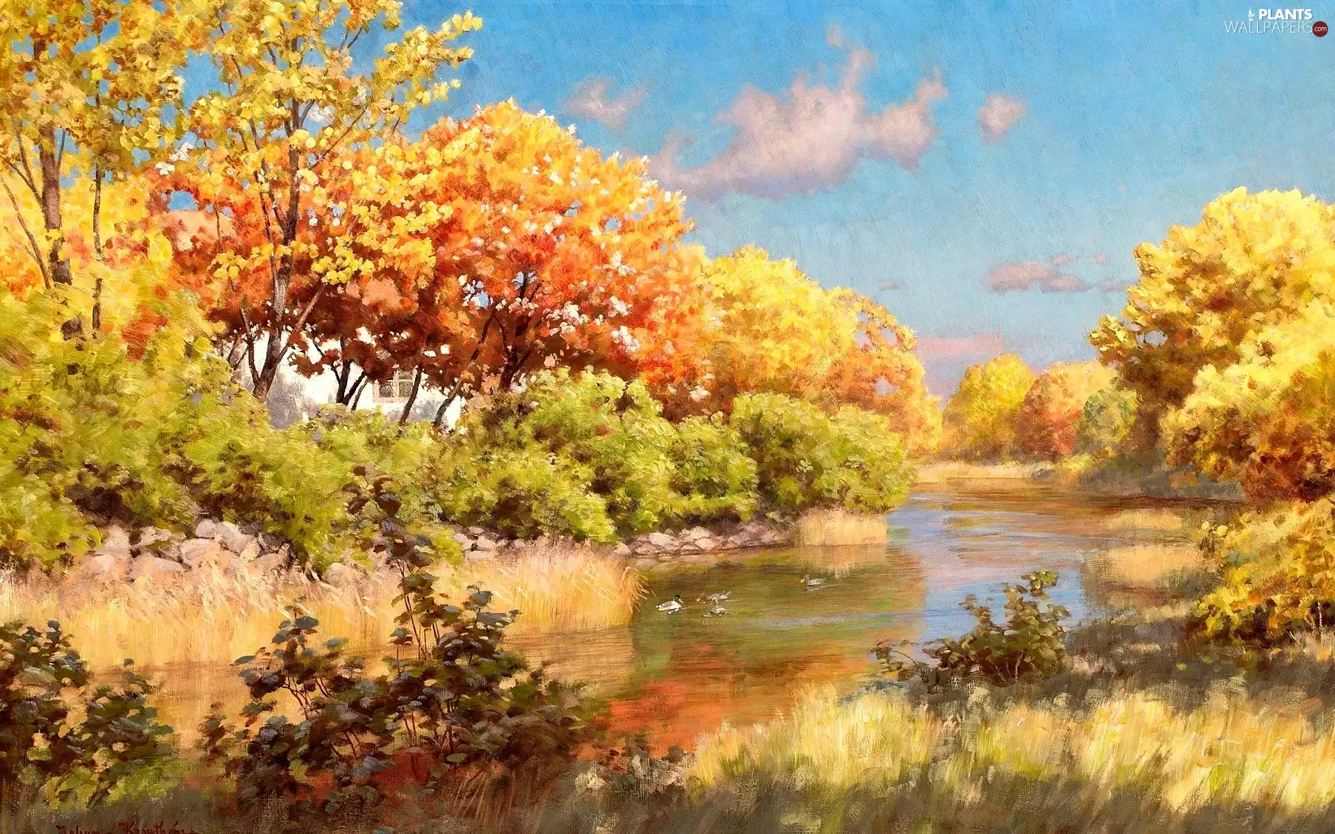 ducks, house, picture, trees, Johan Krouthen, River, autumn, viewes