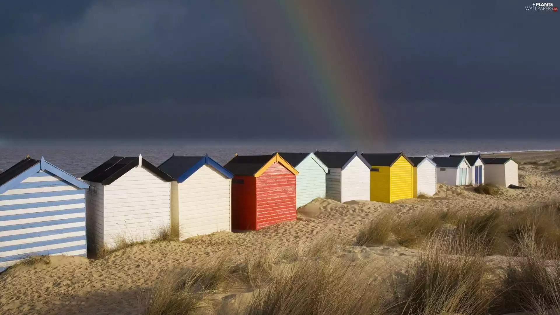 beach, Great Rainbows, Dunes, Houses, sea