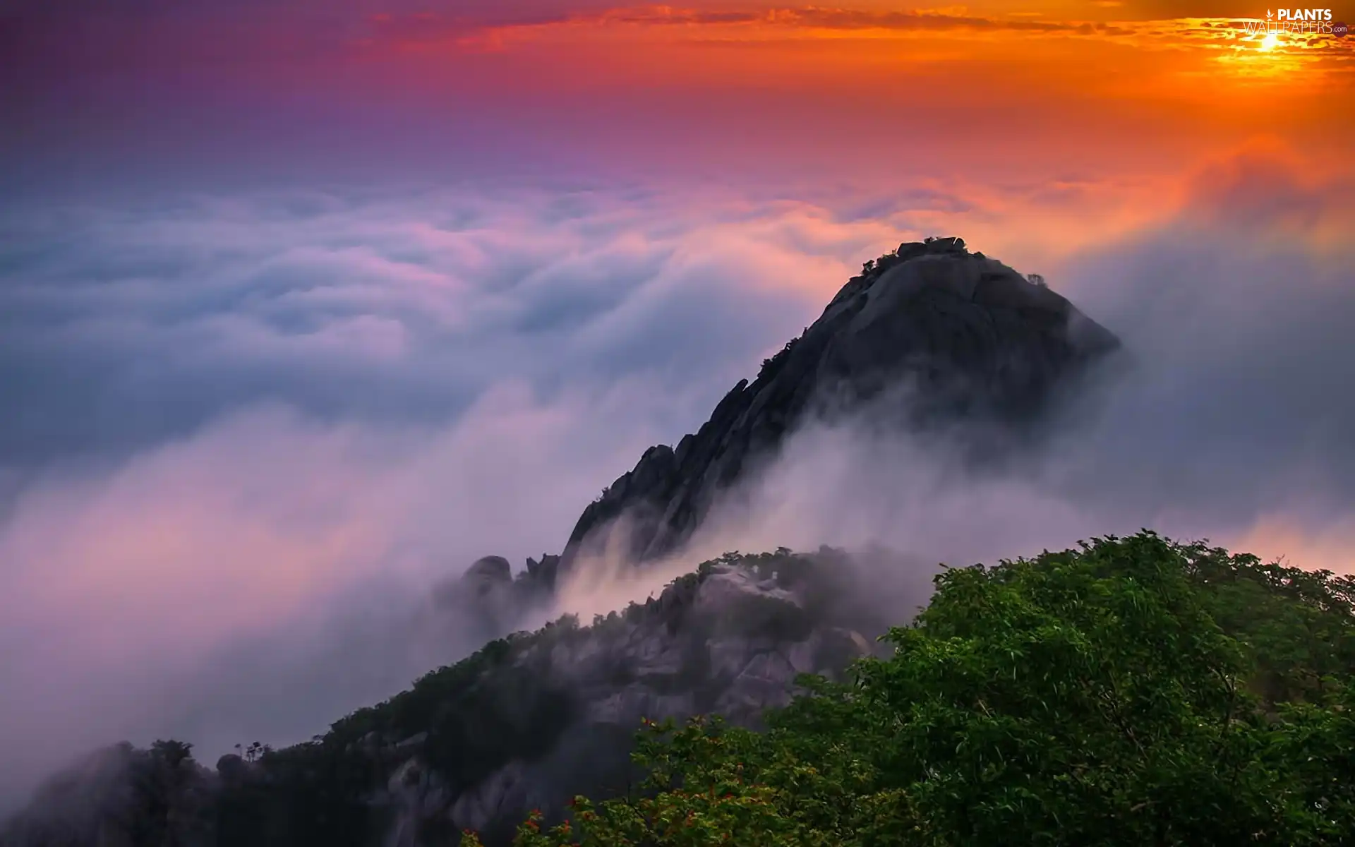 east, sun, VEGETATION, clouds, Mountains