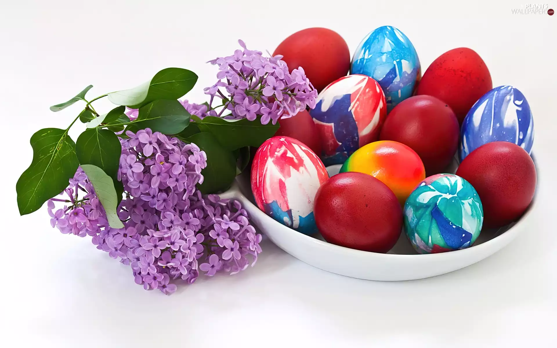 lilac, Easter, eggs, twig, color