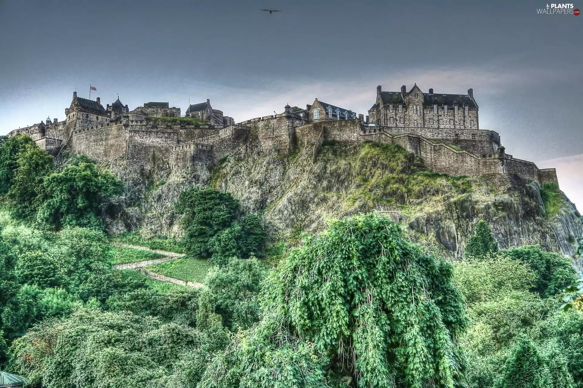 Edynburg, Edinburgh Castle, trees, Scotland, Edinburgh Castle, rocks, viewes