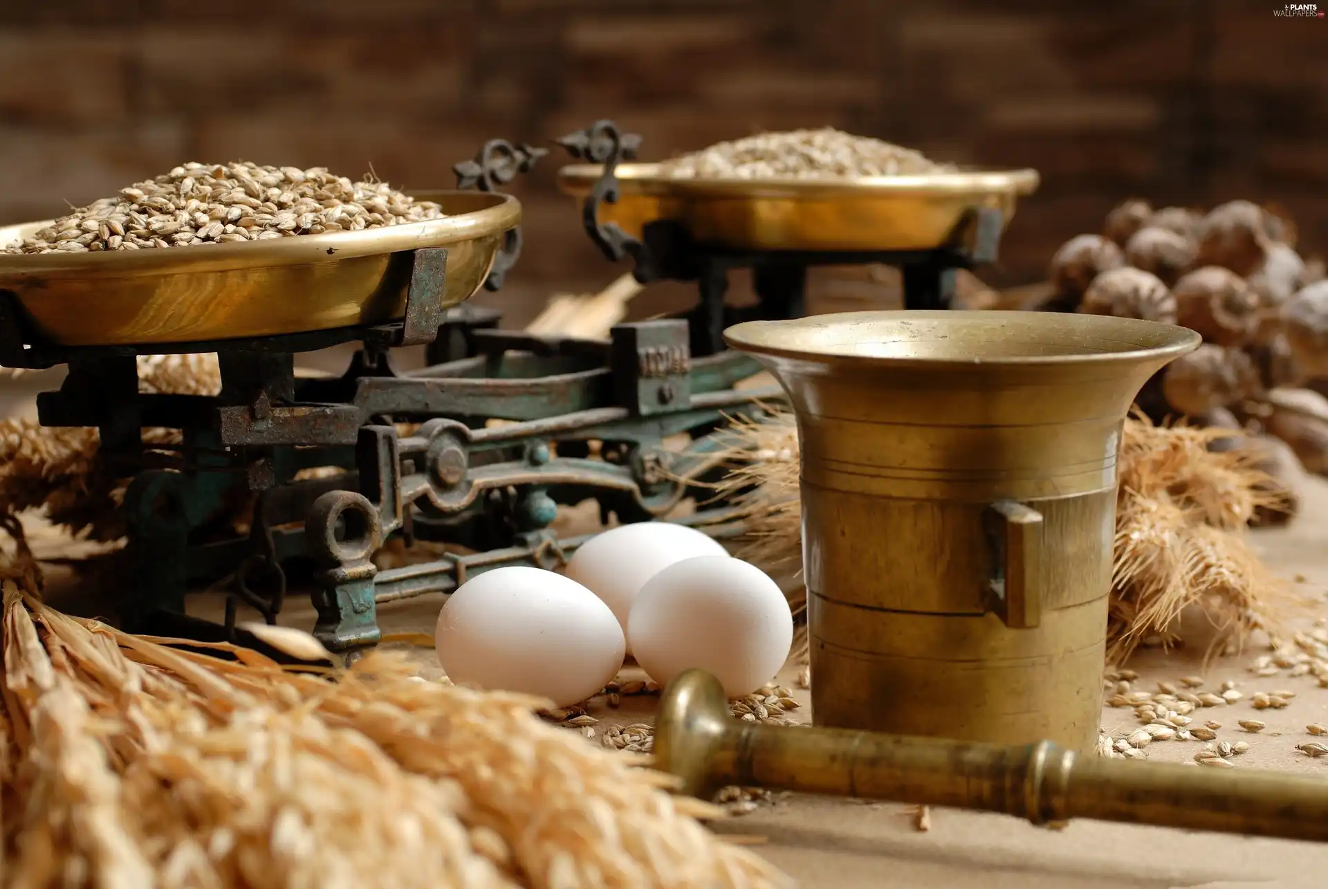 eggs, mortar, seed, weight, cereals