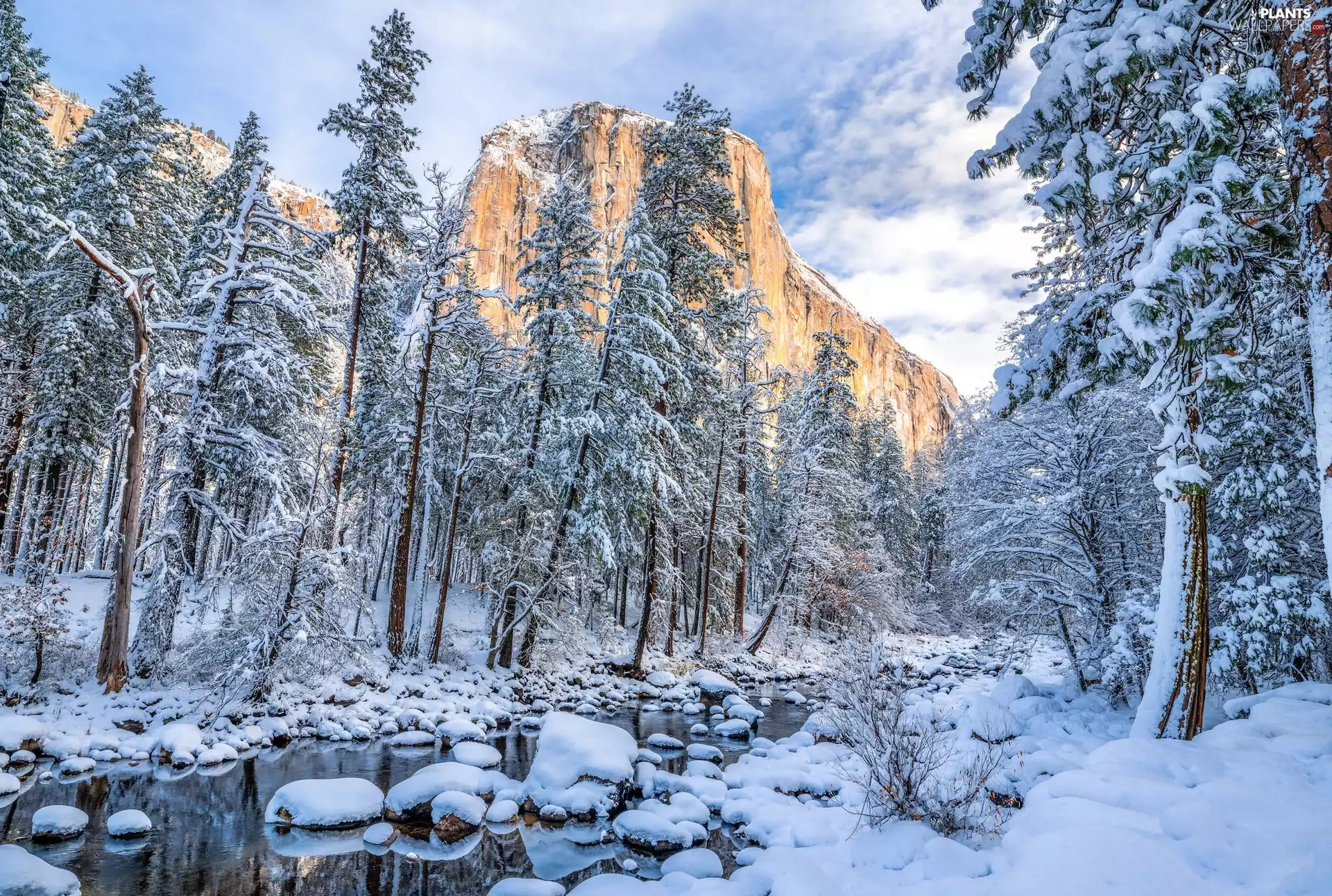 California, Yosemite National Park, The United States, winter, El Capitan, River, viewes, mountains, trees