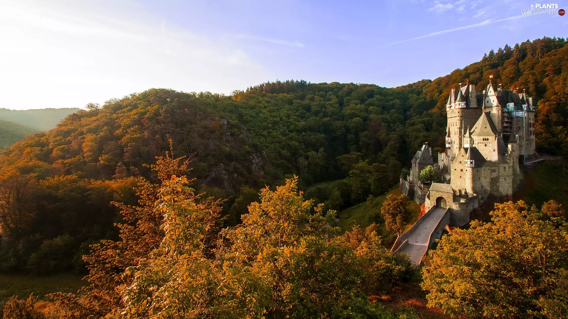autumn, forest, Germany, trees, Municipality Wierschem, Eltz Castle, Eifel Mountains, viewes