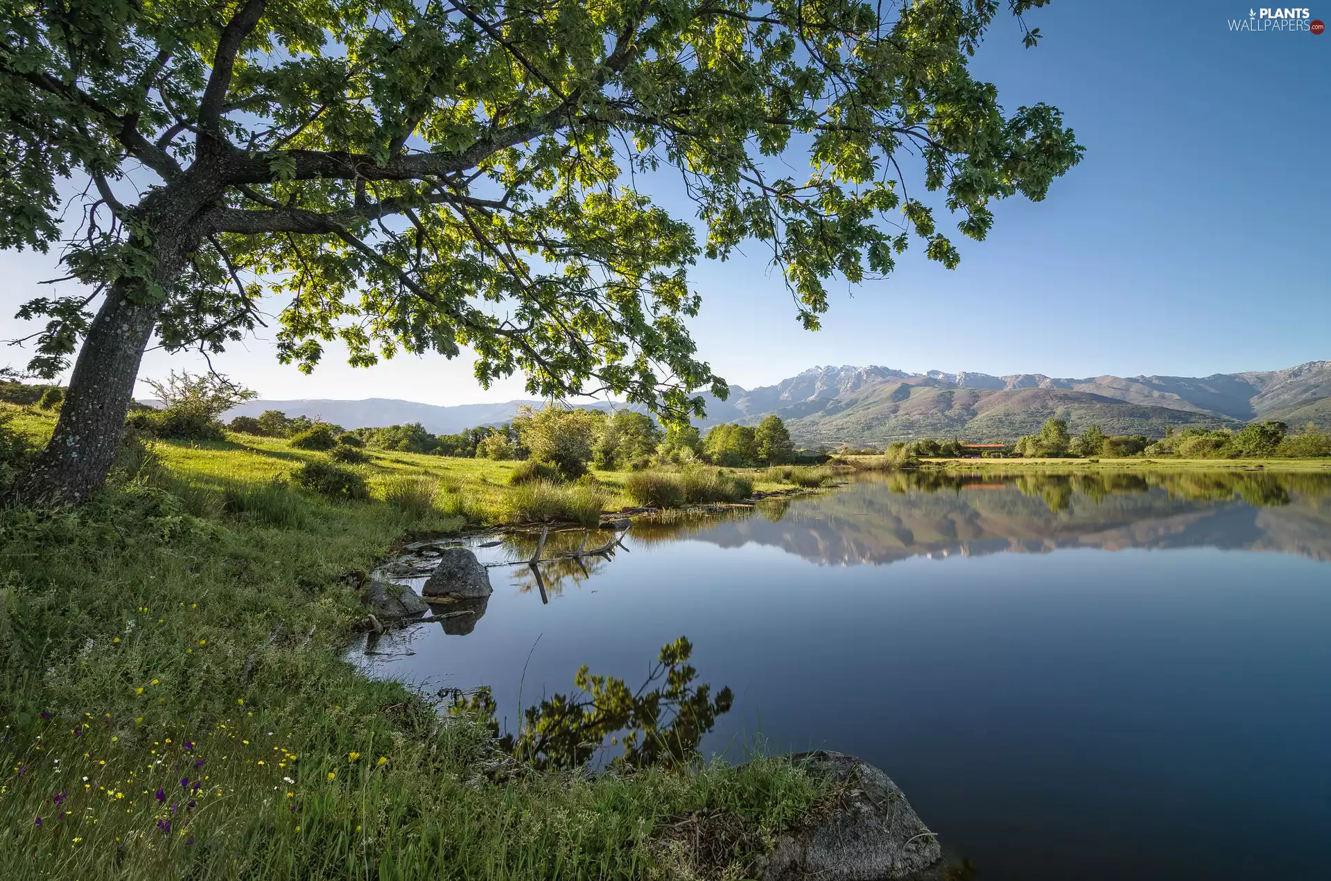 Embalse de Rosarito Reservoir, Spain, viewes, Mountains, trees, lake