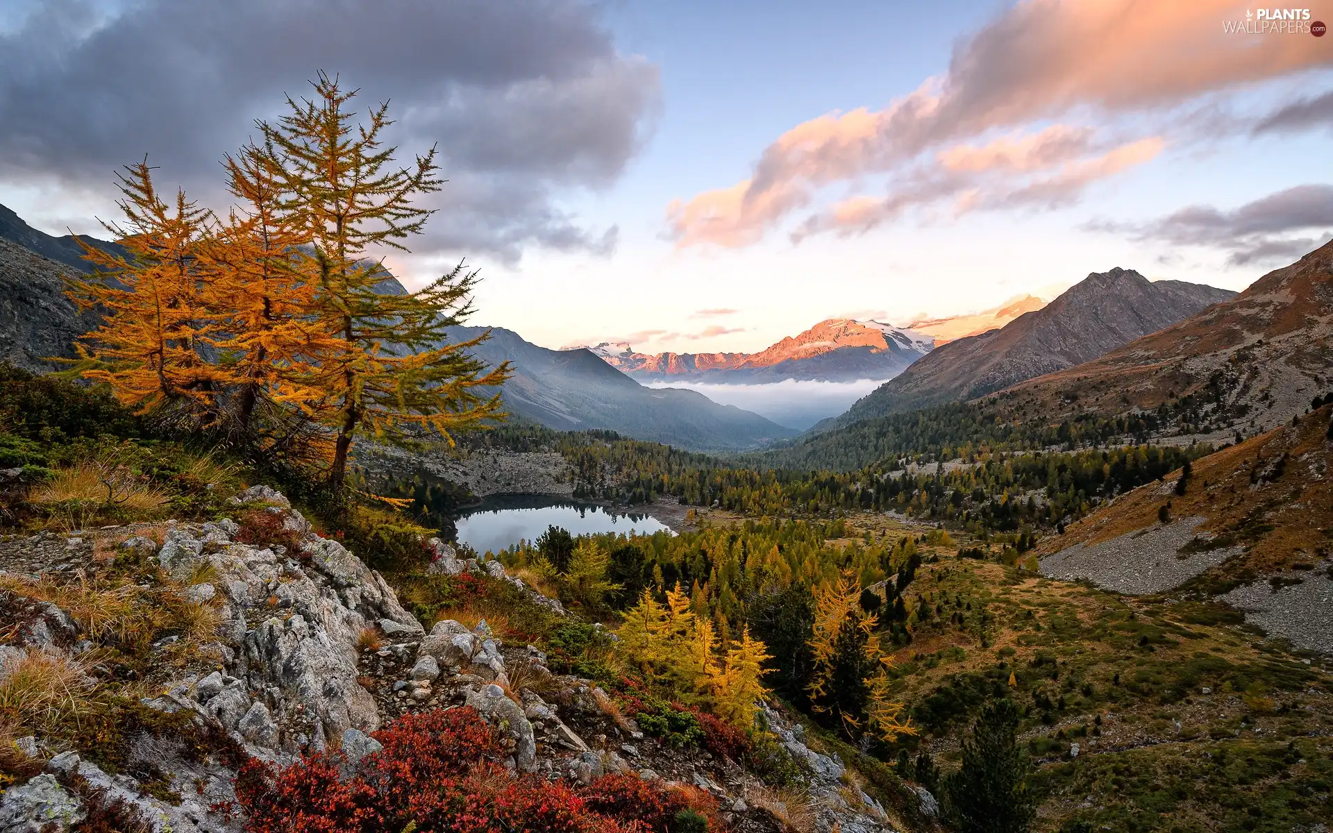 rocks, Rodent, lake, viewes, Mountains, Switzerland, Engadin Valley, Bush, trees, autumn