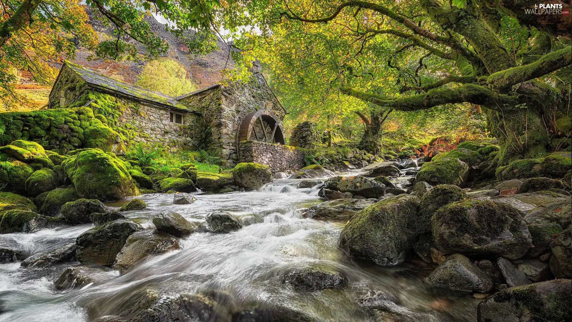 mossy, Cumbria County, stone, trees, Windmill, England, Borrowdale, viewes, Stones, River