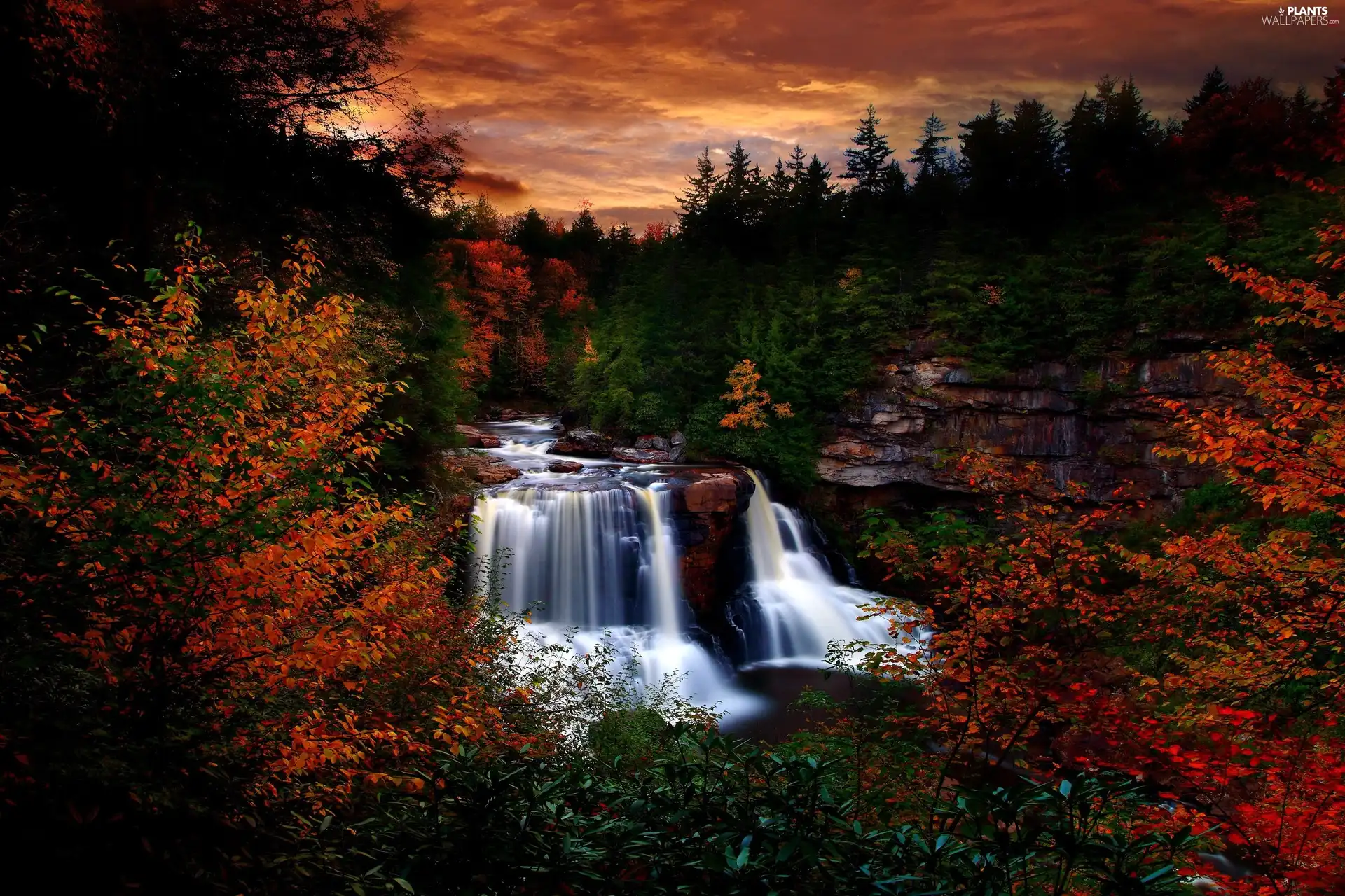 forest, waterfall, evening, autumn