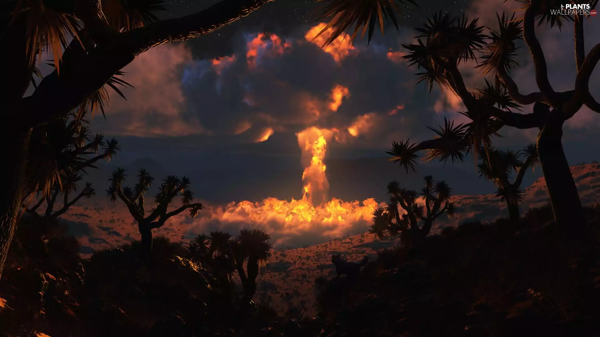 smoke, viewes, atomic, Big Fire, trees, Bomb, explosion