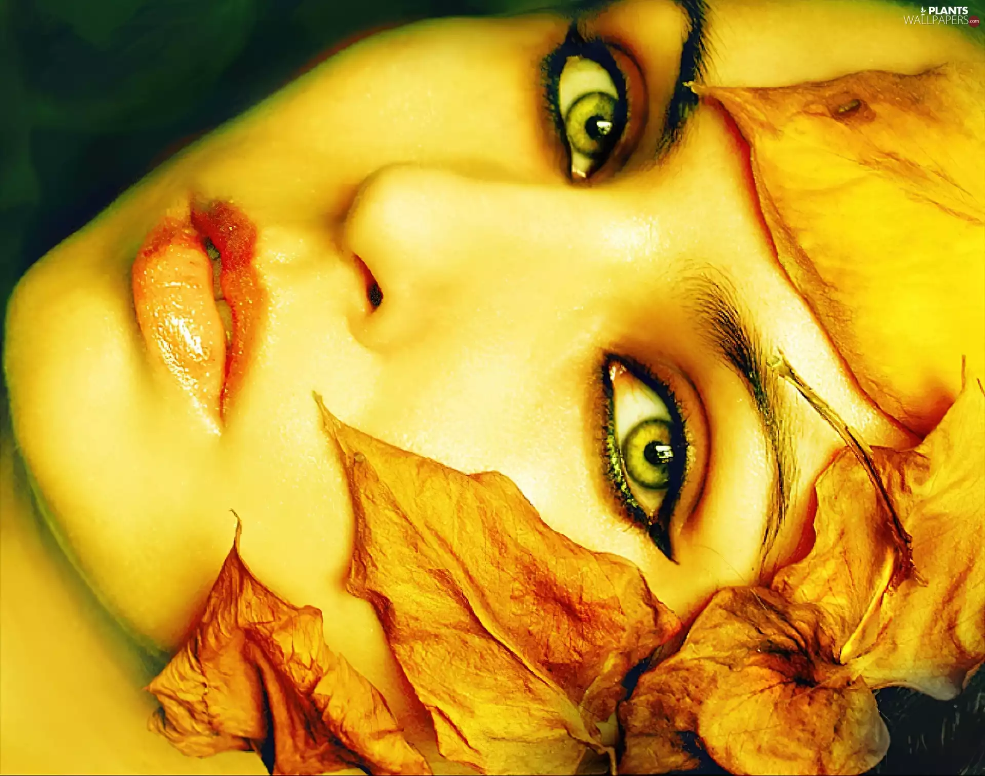 Leaf, make-up, face, Yellow, Women