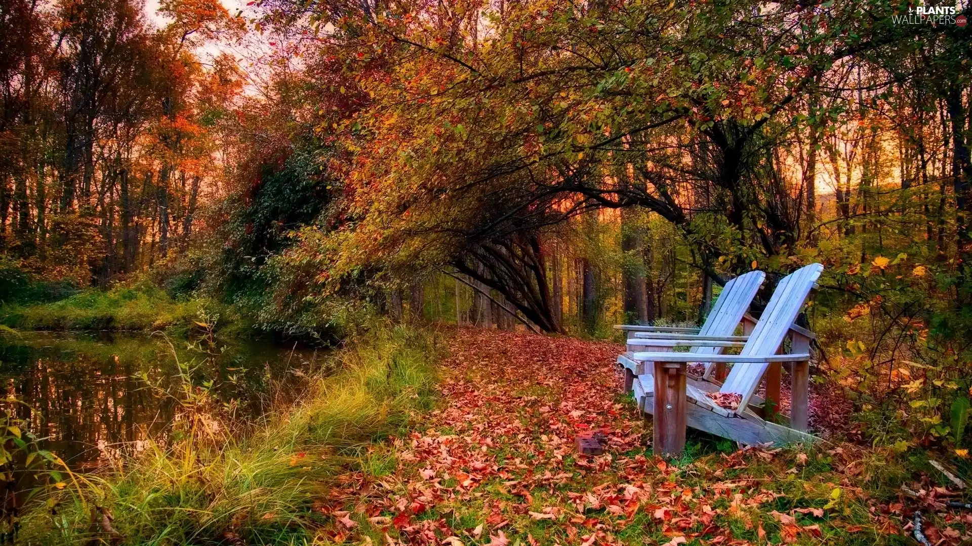 Pond - car, autumn, Two cars, Stool, fallen, Leaf, viewes, Path, trees