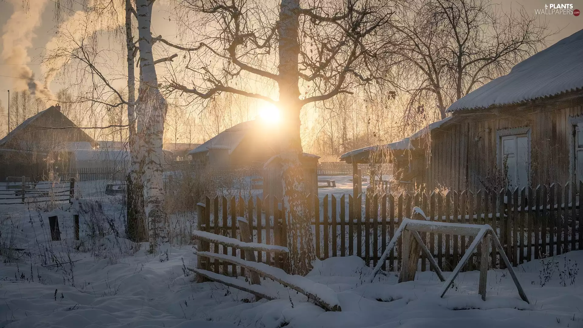 trees, fence, birch, Fance, winter, viewes, Houses