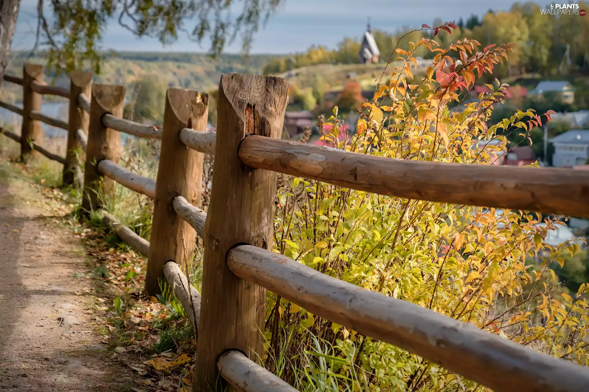 fence, Bush, Way, Fance