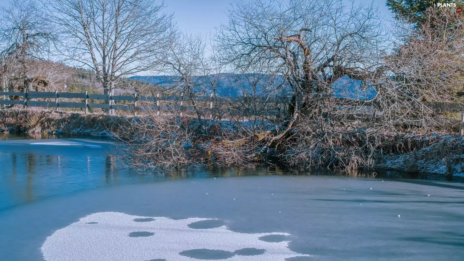 Pond - car, snow, viewes, Icecream, winter, trees, Fance