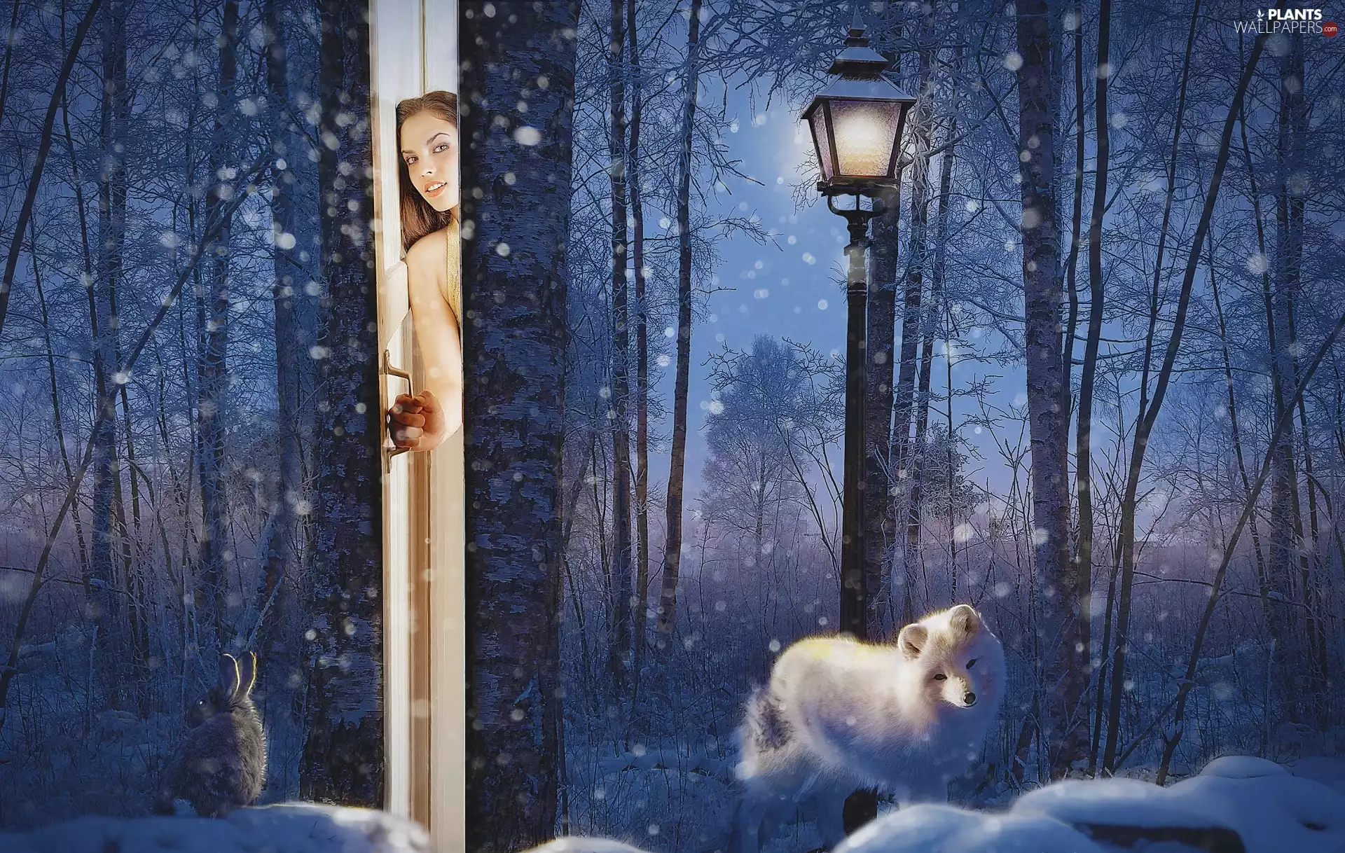 Wolf, winter, Women, trees, Wild Rabbit, fantasy, Doors, viewes, Lighthouse, White