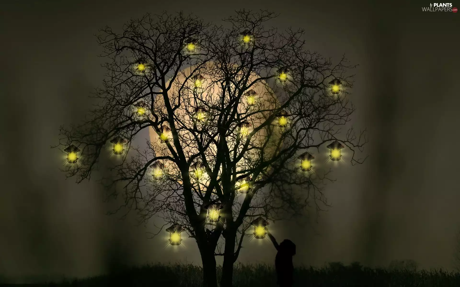 moon, fantasy, lights, Night, trees