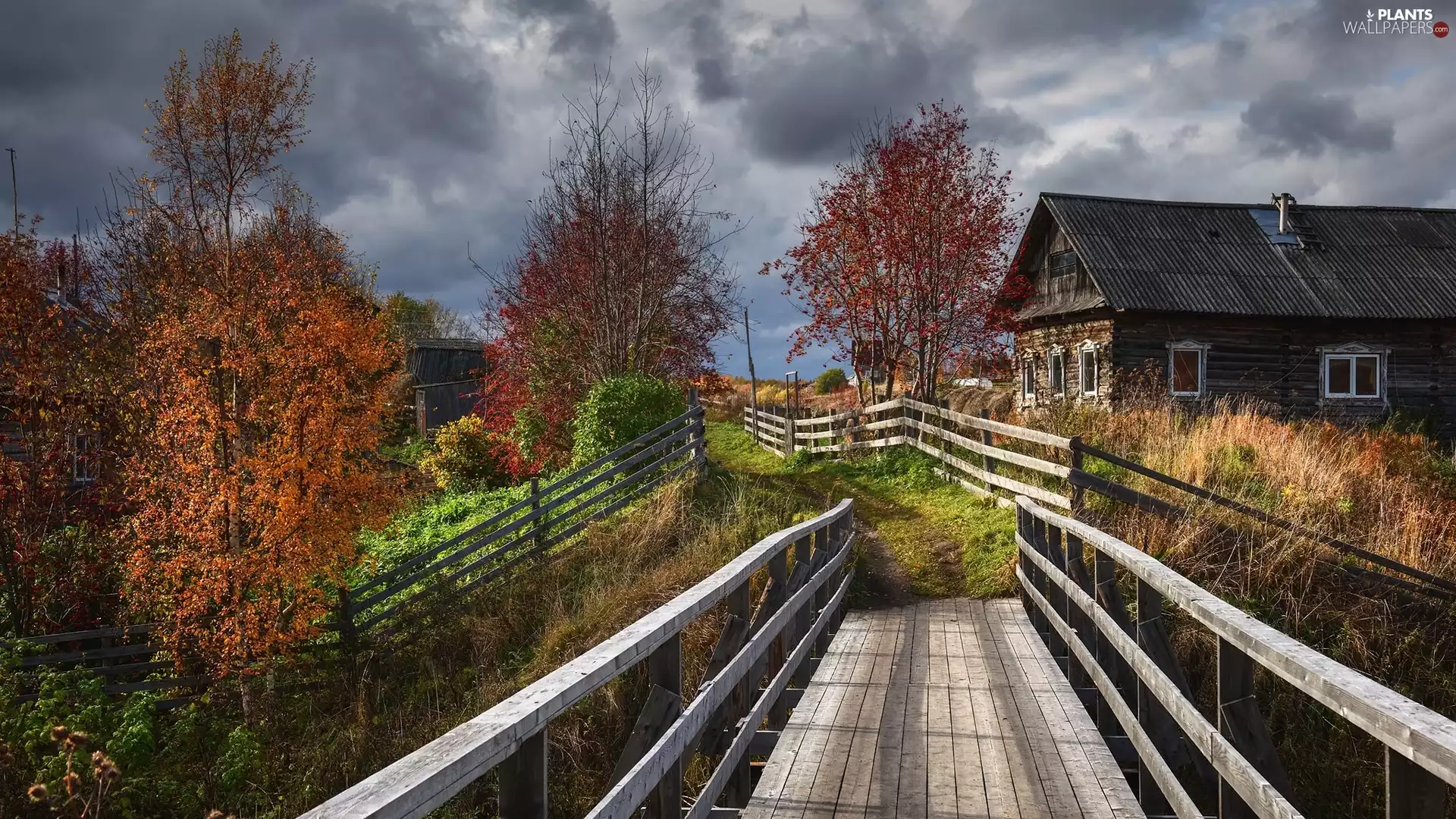 house, autumn, trees, fence, bridges, clouds